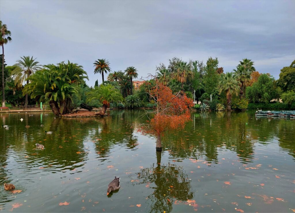 Park jeziorko roślinność Barcelona