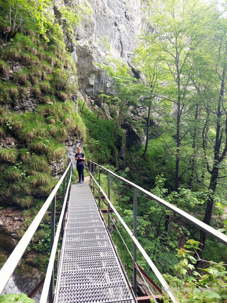 Kładki nad potokiem trekking do wodospadu Trefflingfall pomysł na urlop