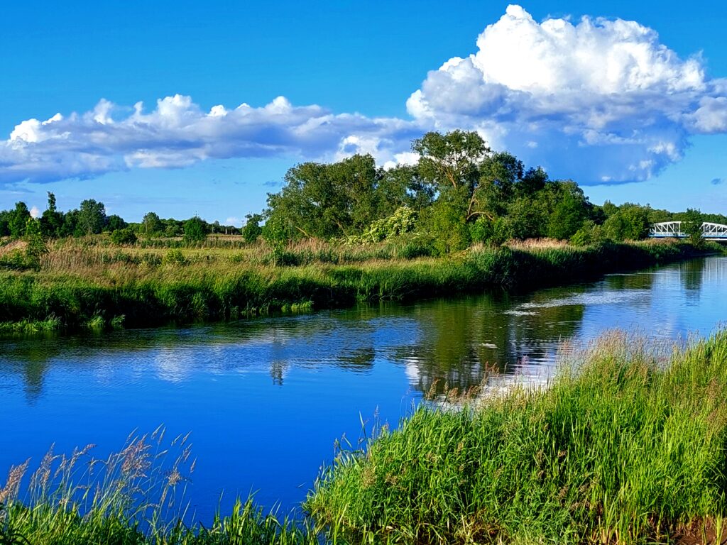 Widok na Narew w słoneczny dzień. Łąki nad rzeką Tykocin