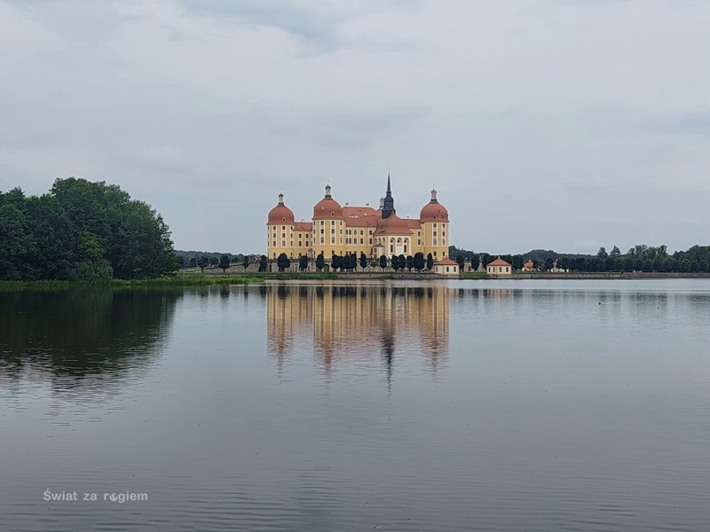 Żółty zamek Moritzburg odbijający się w wodzie