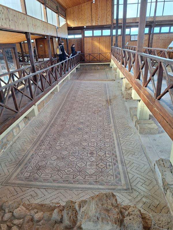 Muzeum mozaiki Park archeologiczny Pafos