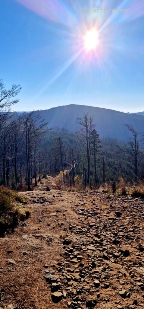 Słońce na szlaku Beskid Śląski