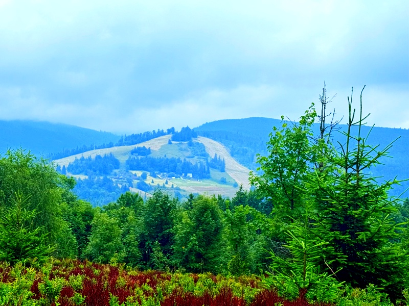 Widoki na góry, soczysta zieleń letniego lasu