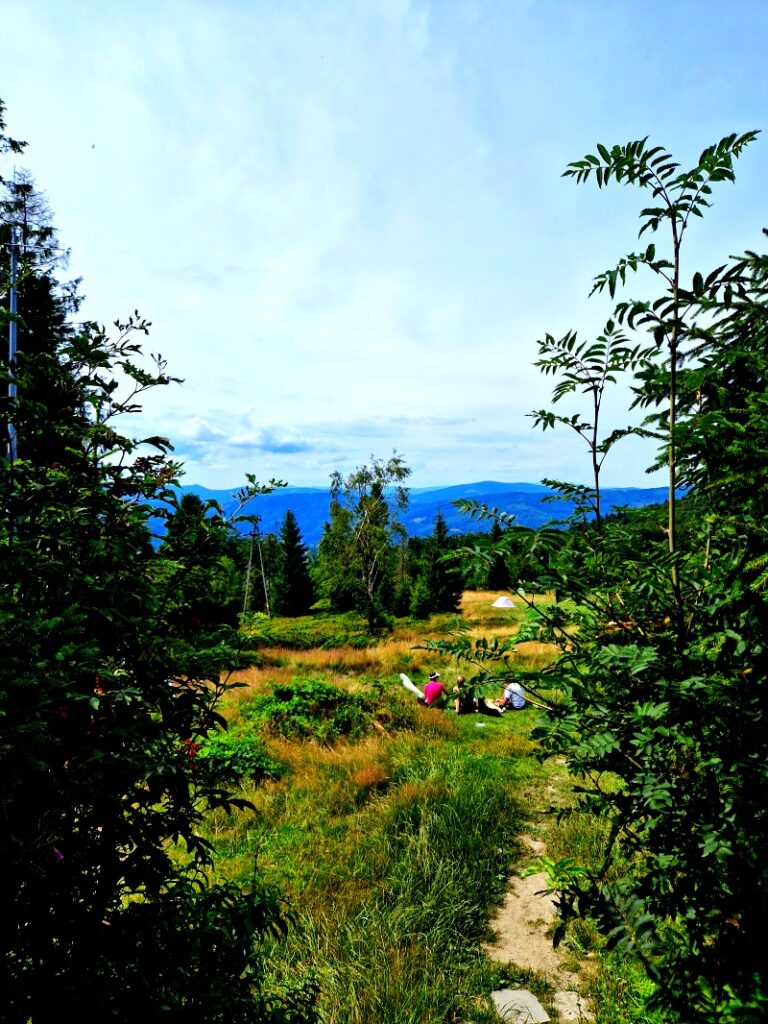 Widok ze schroniska Błatnia w kierunku Brennej