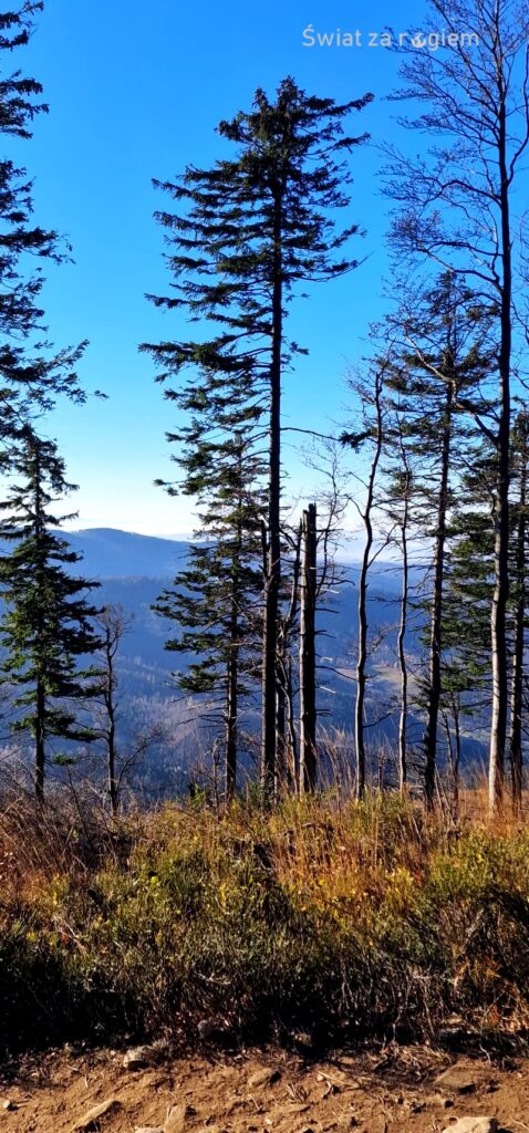Beskid Śląski jesienią, widok na góry