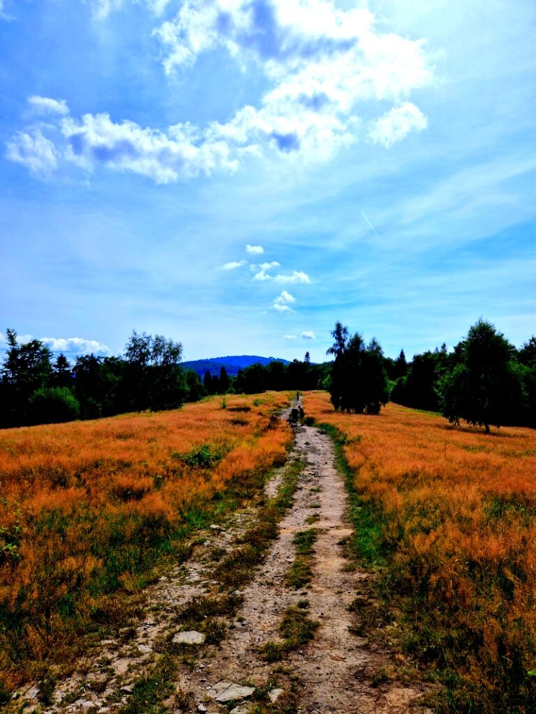 Jesienne kolory na szlaku na Błanią