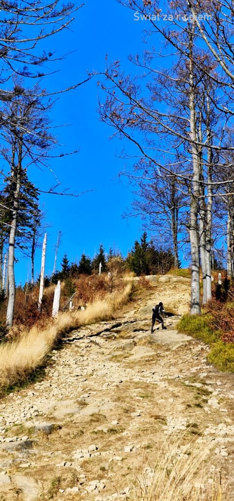 Ostre podejście na szlaku Z Salmopolu na Malinów