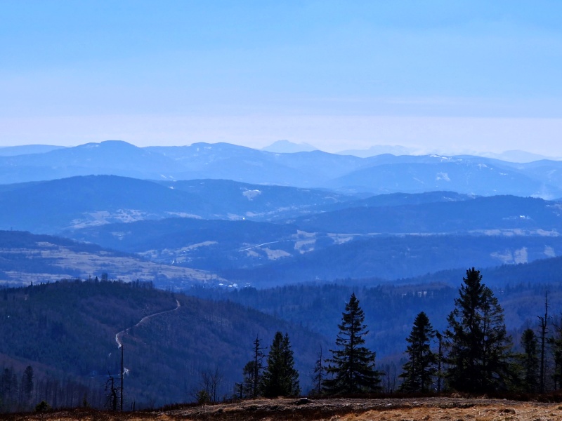 Rozległy widok na pasma górskie ze szlaków Beskidu Śląskiego