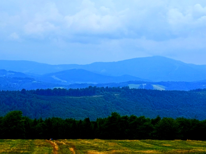 Hala Jaworowa Beskid Śląski widoki na Beskidy