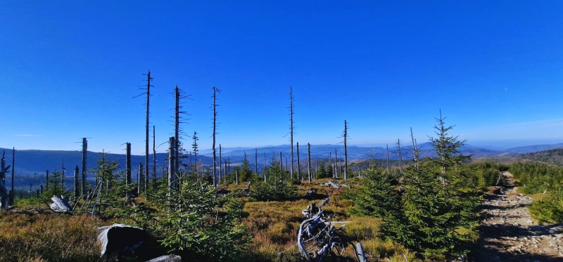 Beskid Śląski widoki z wędrówki granią