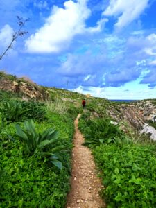Trasy trekkingowe zimą